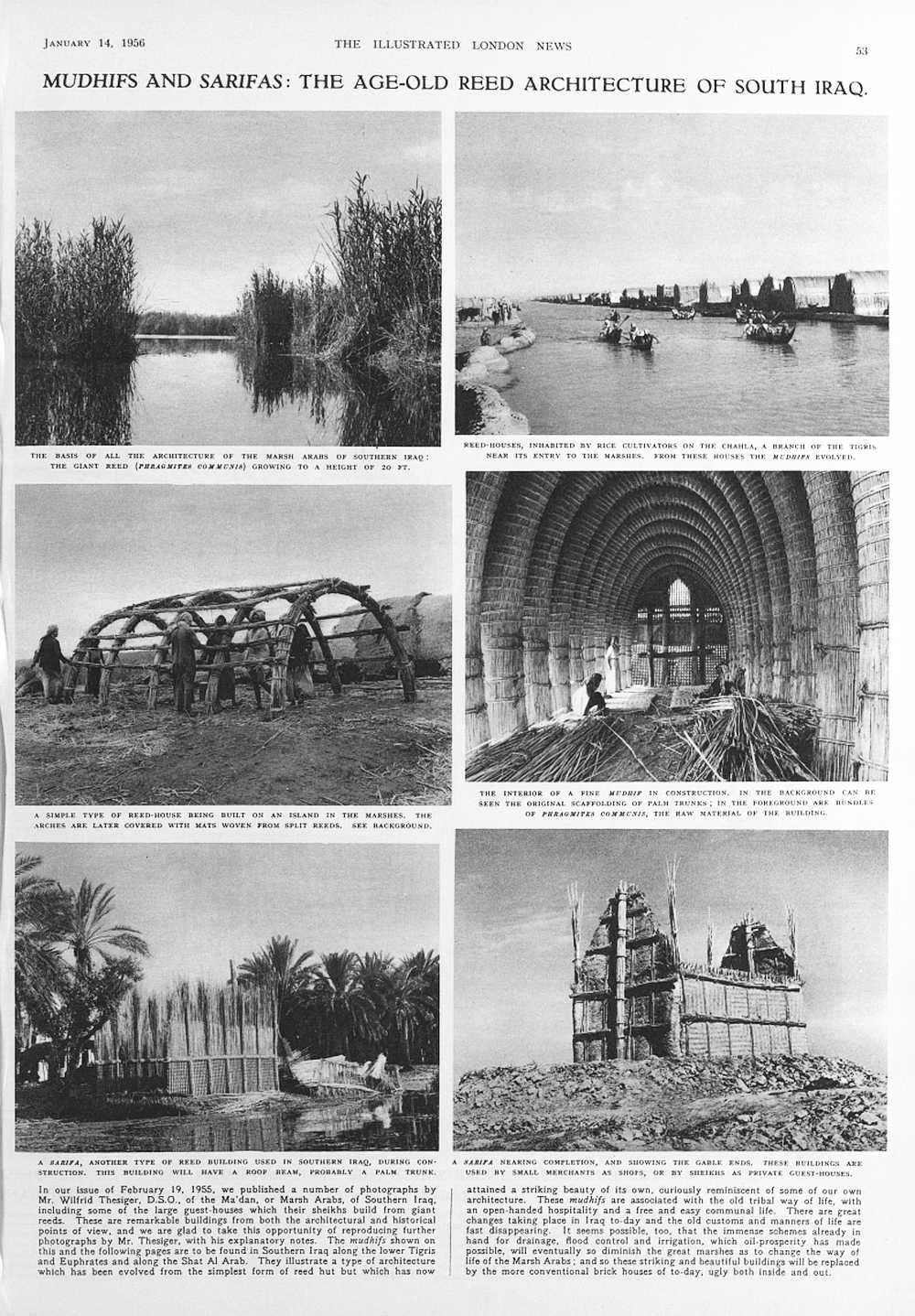 Iraq reed houses